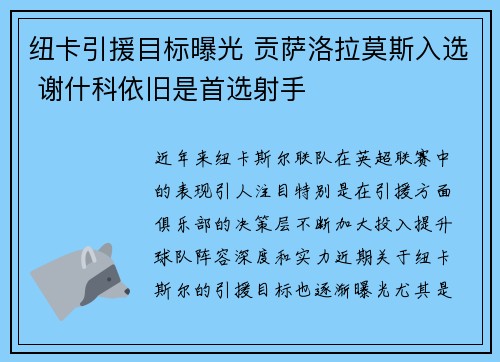纽卡引援目标曝光 贡萨洛拉莫斯入选 谢什科依旧是首选射手